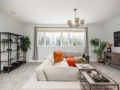 Picture 8